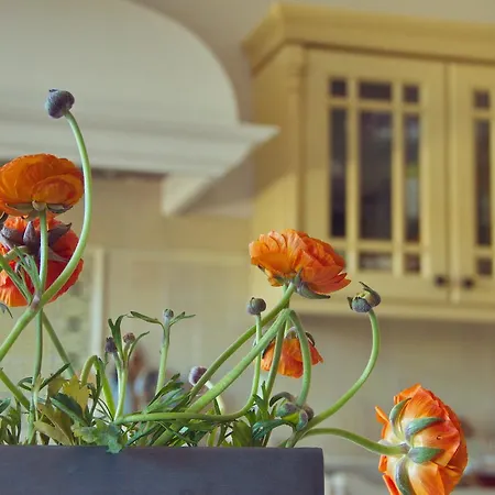 Les Deux Abbesses En Vert | La Grande Maison Bed and breakfast Mareuil-sur-Belle