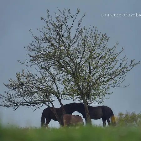 Bed and breakfast Les Deux Abbesses En Vert | La Grande Maison 3*