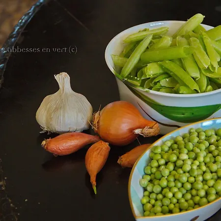 Les Deux Abbesses En Vert | La Grande Maison 住宿加早餐酒店 Mareuil-sur-Belle